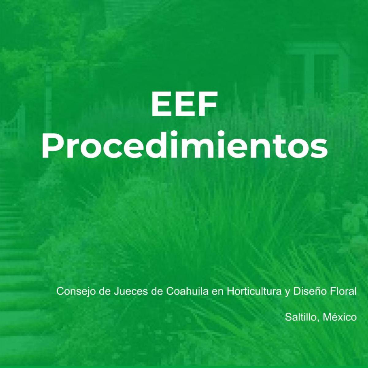 EEF. Procedimientos Saltillo, México