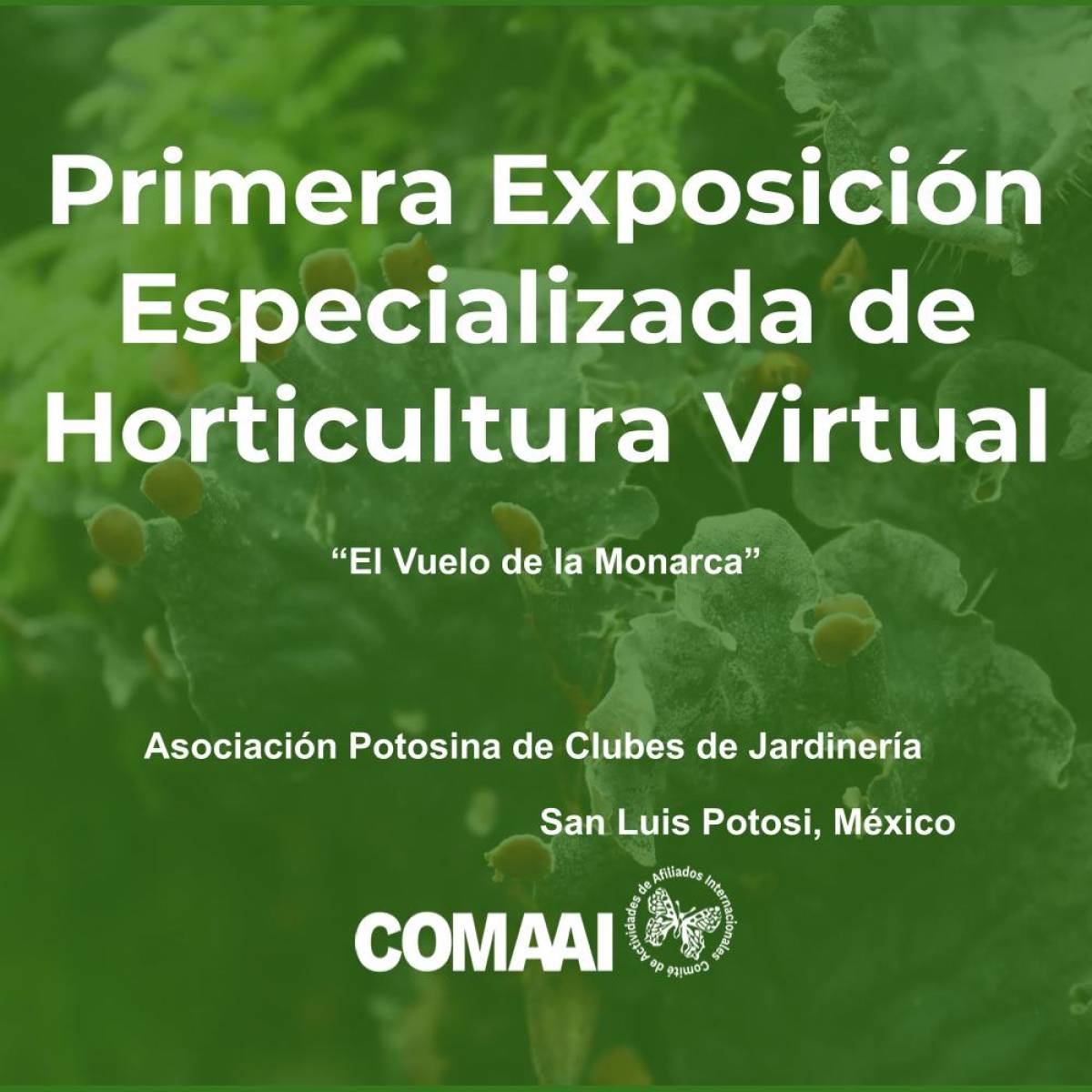 Primera Exposición Especializada de Horticultura Virtual