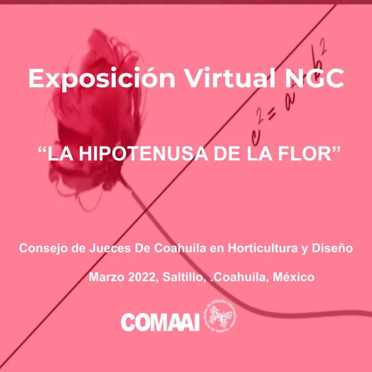 Exposición Virtual NGC LA HIPOTENUSA DE LA FLOR