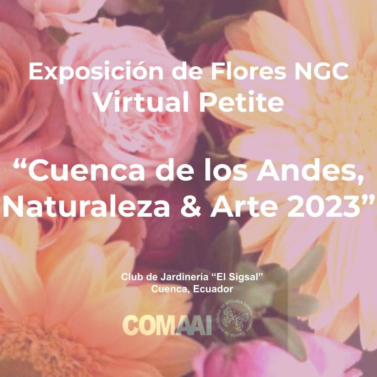 Exposición Virtual Petite Cuenca de los Andes d