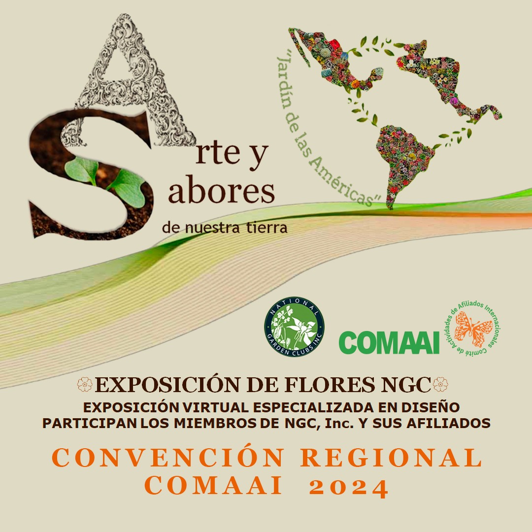 Arte y Sabores de Nuestra Tierra Convención Regional Comaai 2024